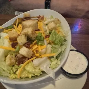 Side salad - very large for a side