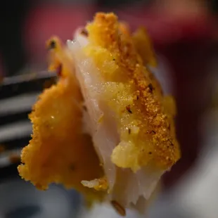 Fried Catfish