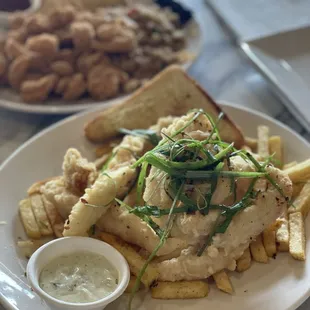 Catfish Strips