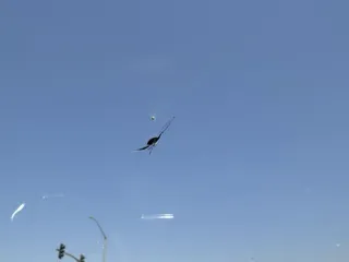 Chip Master Windshield Repair