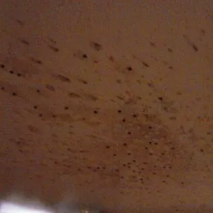 This was on the ceiling in the room they gave us. Room 166