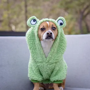 Pool area upstairs. Closed for the season but nice spot to chill.