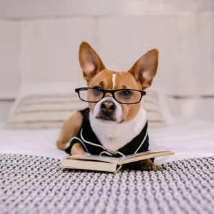 A little reading before bedtime