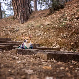 A little spot down to let him run a little without bothering other people.