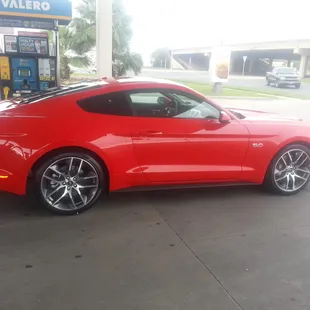 2015 Mustang
