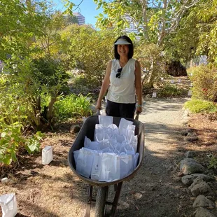 Setting up the luminarias!
