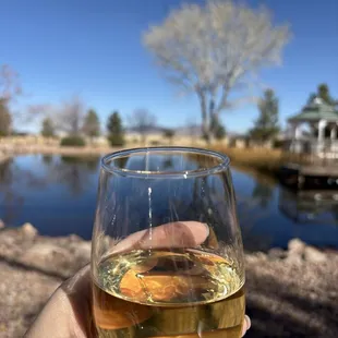 Glass of Malvasia Bianca - delicious!