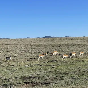 Wildlife across the road as we were leaving.