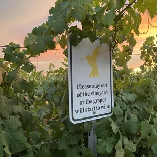 Perfect Monsoon Season sunset