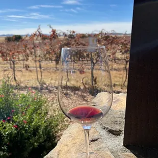 Nice start to wine tasting