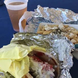 Gyro and Greek fries