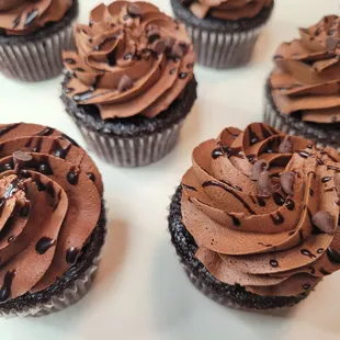 Chocolate Lovers Cupcakes
