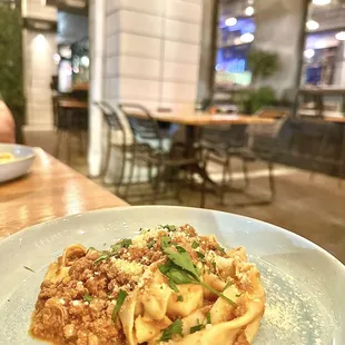 Bolognese