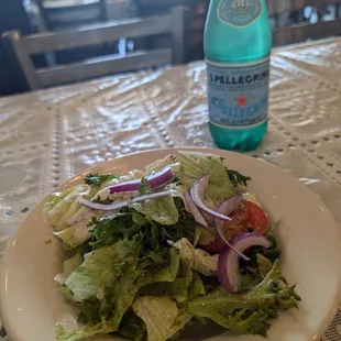 House salad with tomatoes, red onions, misc lettuce and a great italian dressing.