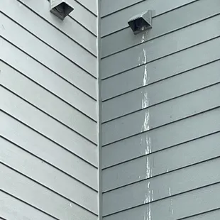 Birds nests in dryer vents with bird droppings everywhere. Birds regularly enter open doors.