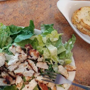 Chicken Caesar Salad