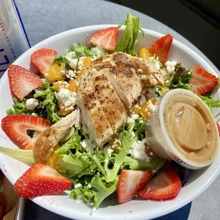 Strawberry Goat Cheese Salad with Balsamic Dressing