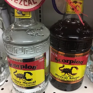 Yep, there are scorpions in there!