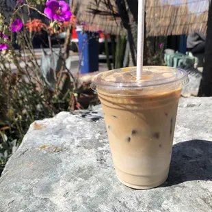 Iced Latte