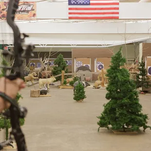 Indoor 3D archery range.