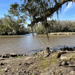 a view of the river from the shore