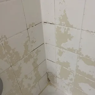 Same bathroom with mold