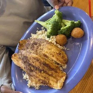 Grouper over rice