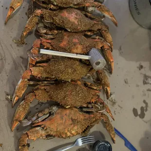 Jumbo crabs and oysters Annapolis OMG