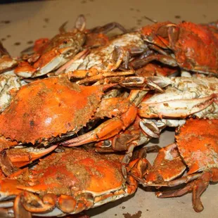 oysters and mussels, mussels, food, shellfish, oysters
