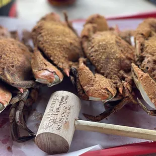 Delish Maryland crab