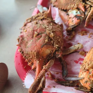 AYCE - Crabs - June 2024