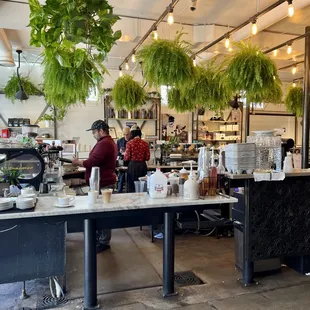 two people working in a coffee shop