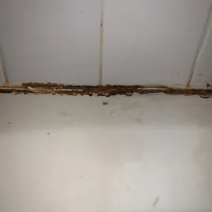 The broken caulk and mold in my bathroom at Aviare Arts District.