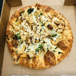 9-Inch Flying Garlic