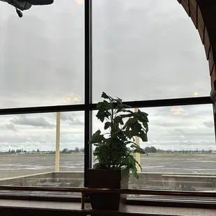 Window view of runway. 1/21/24