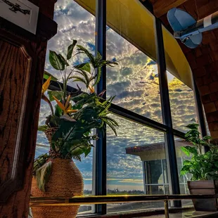 outside, burritos and wraps