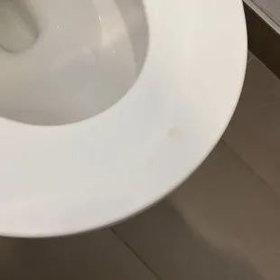 Dirty toilet seat