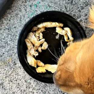 Sid loves their chicken!