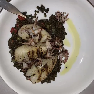 Grilled Calamari