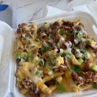 Bacon cheese fries