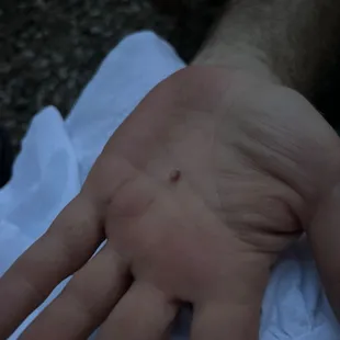 a person&apos;s hand on a towel