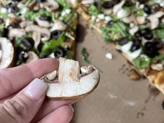 The Albatross of Sebring