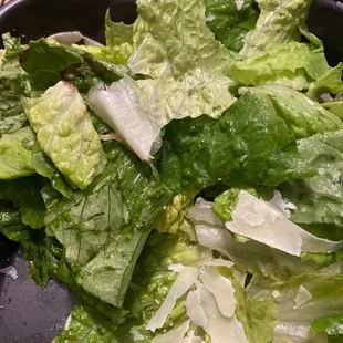 Why would you feed me brown, wet, iceberg lettuce as a Caesar Salad ?!! So disappointed - check your food before you leave !