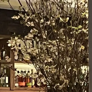 a man sitting at a bar