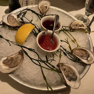East Coast Oysters