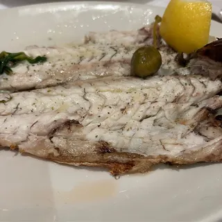Loup de Mer