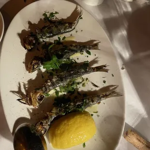 Portuguese Sardines