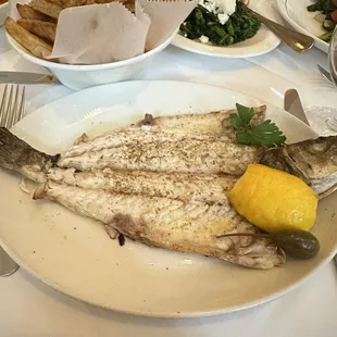 Branzino