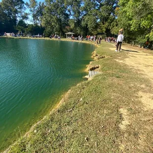 Nice fishing pond