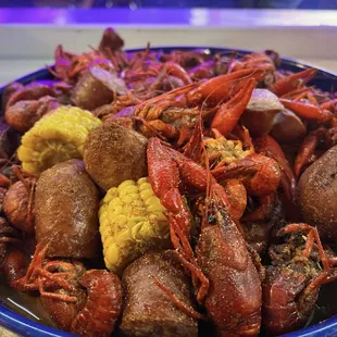 food, oysters, oysters and mussels, shellfish, mussels